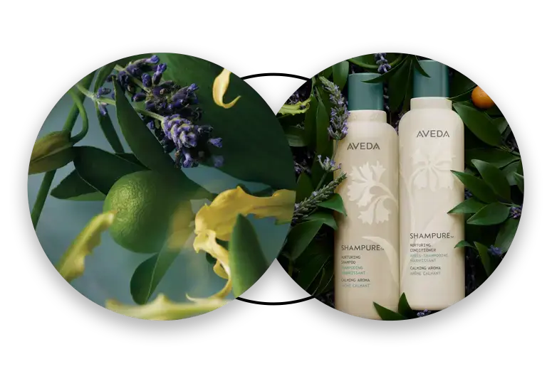 Christiaan Lifestyle Salon en Spa Aveda